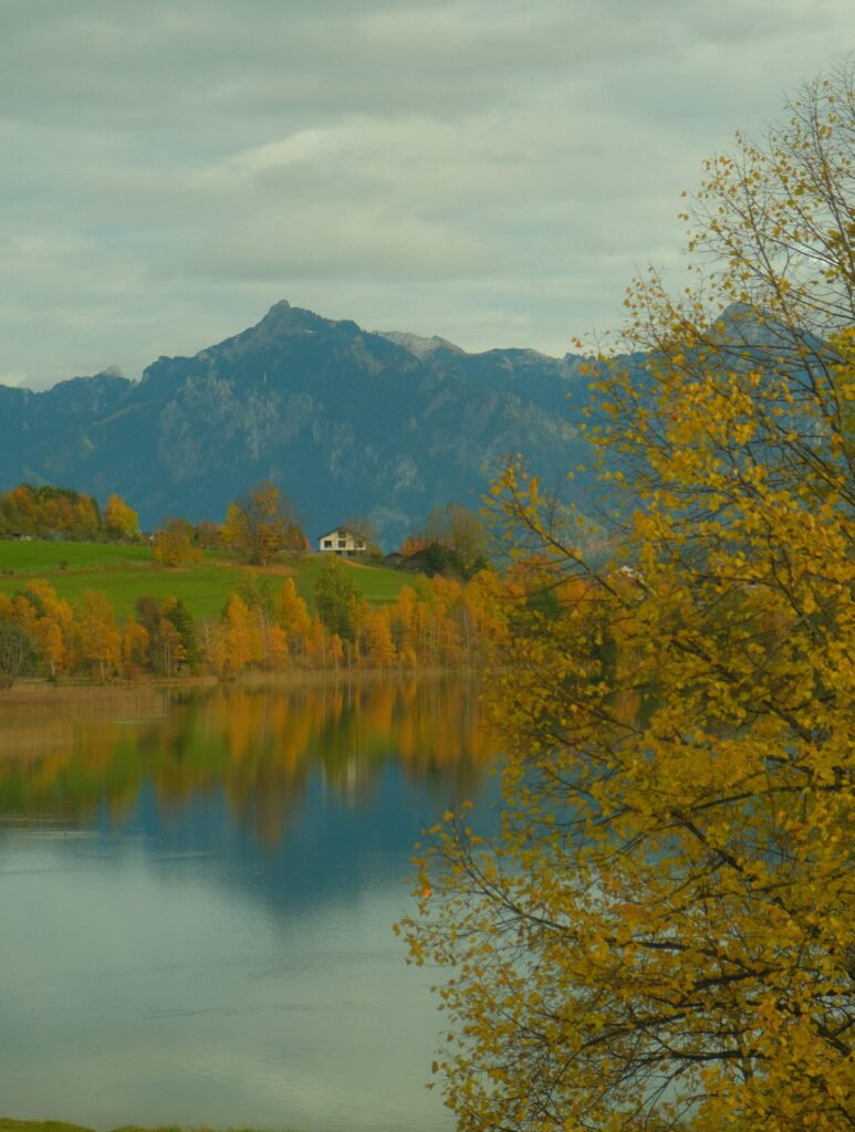 View of Lake Weißensee and the Allgäu mountains surrounded by fall foliage near Füssen
