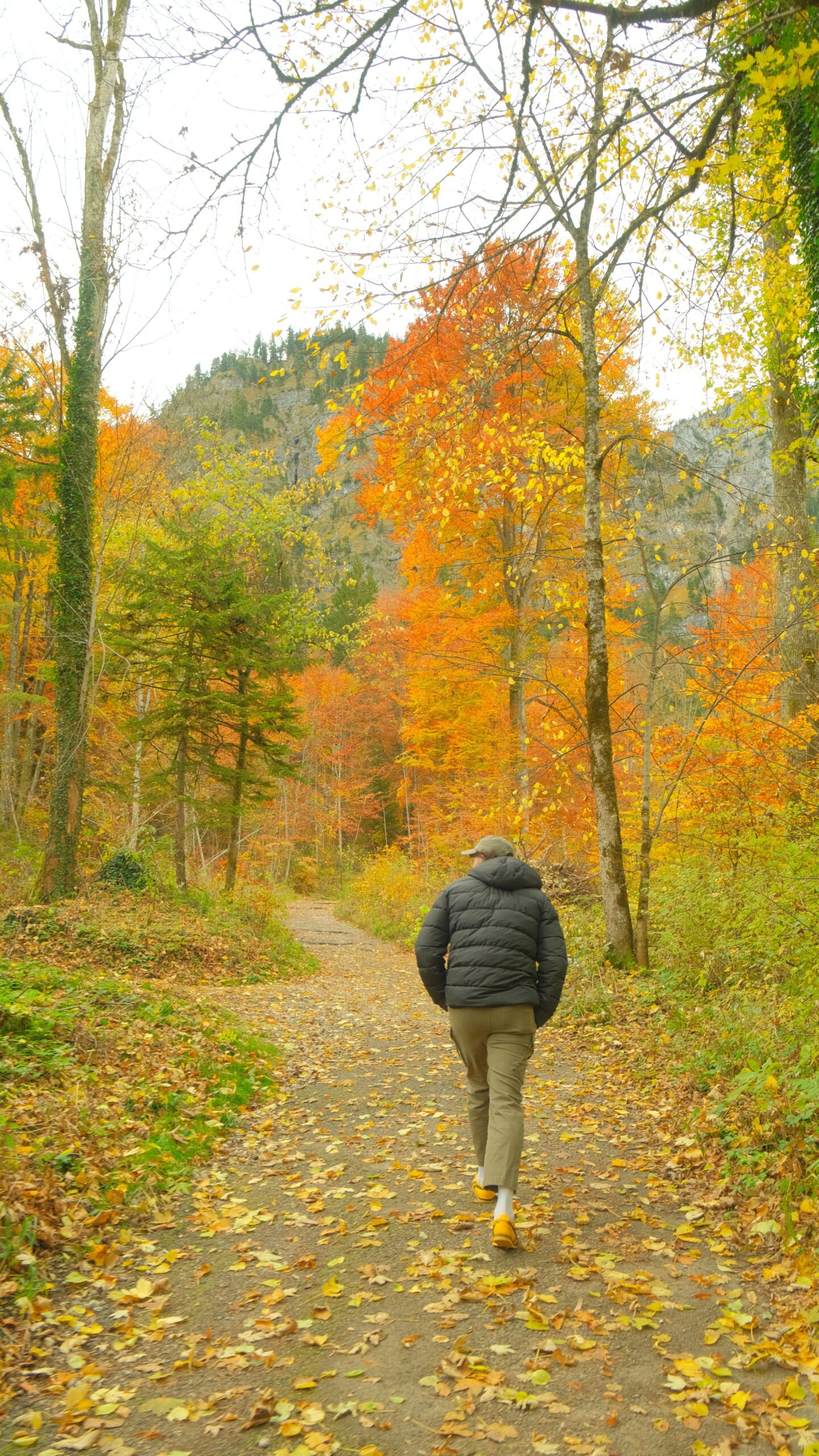Walking up the trail to Neuschwanstein Castle through fall foliage