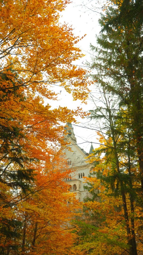 Neuschwanstein Castle framed by autumn leaves on the hike up