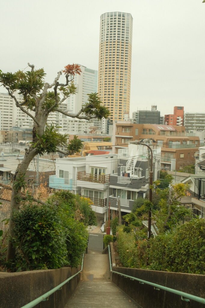 Stairs overlooking buildings in Tokyo, Japan