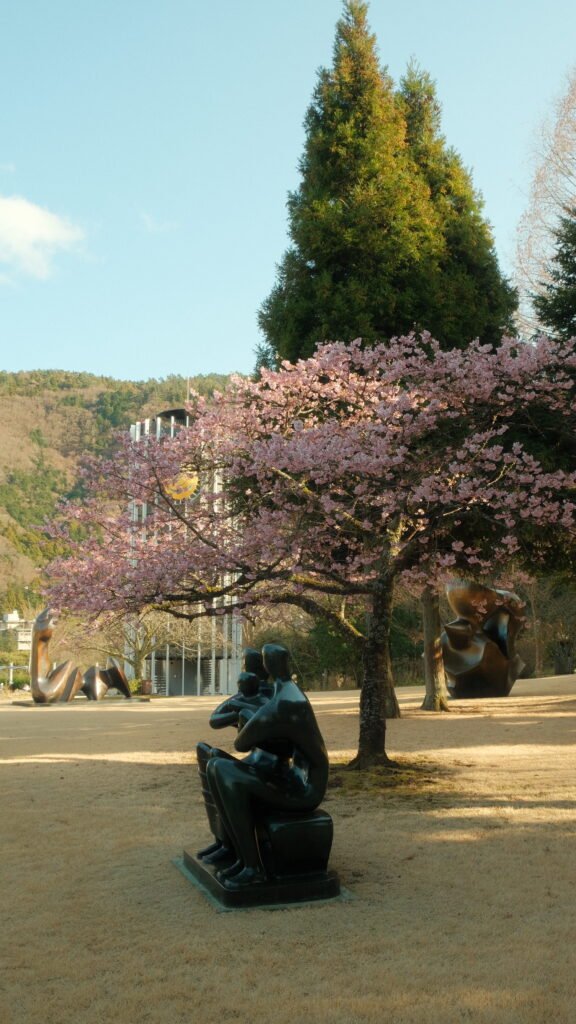 statue and cherry blossom tree at the Open Air Museum in Hakone, Japan