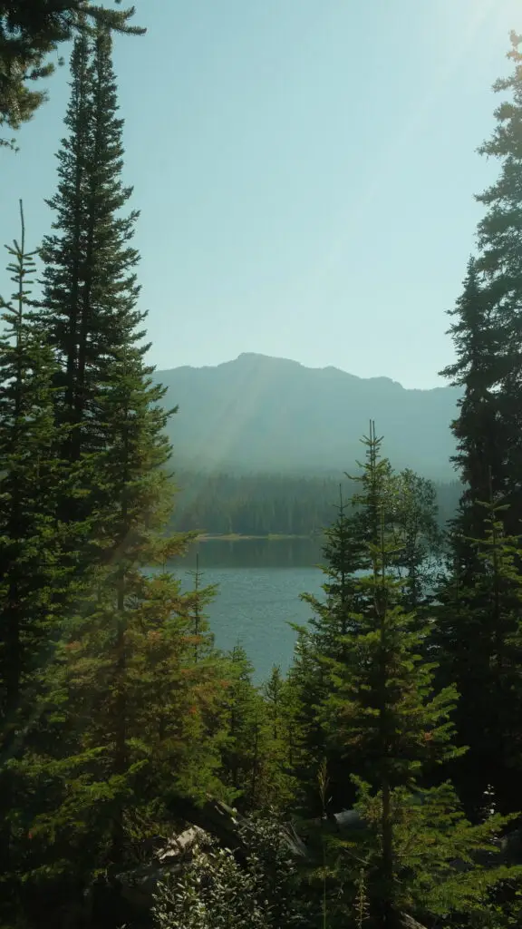 Pine trees overlooking a mountain and lake at Hyalite Reservoir near Bozeman Montana 