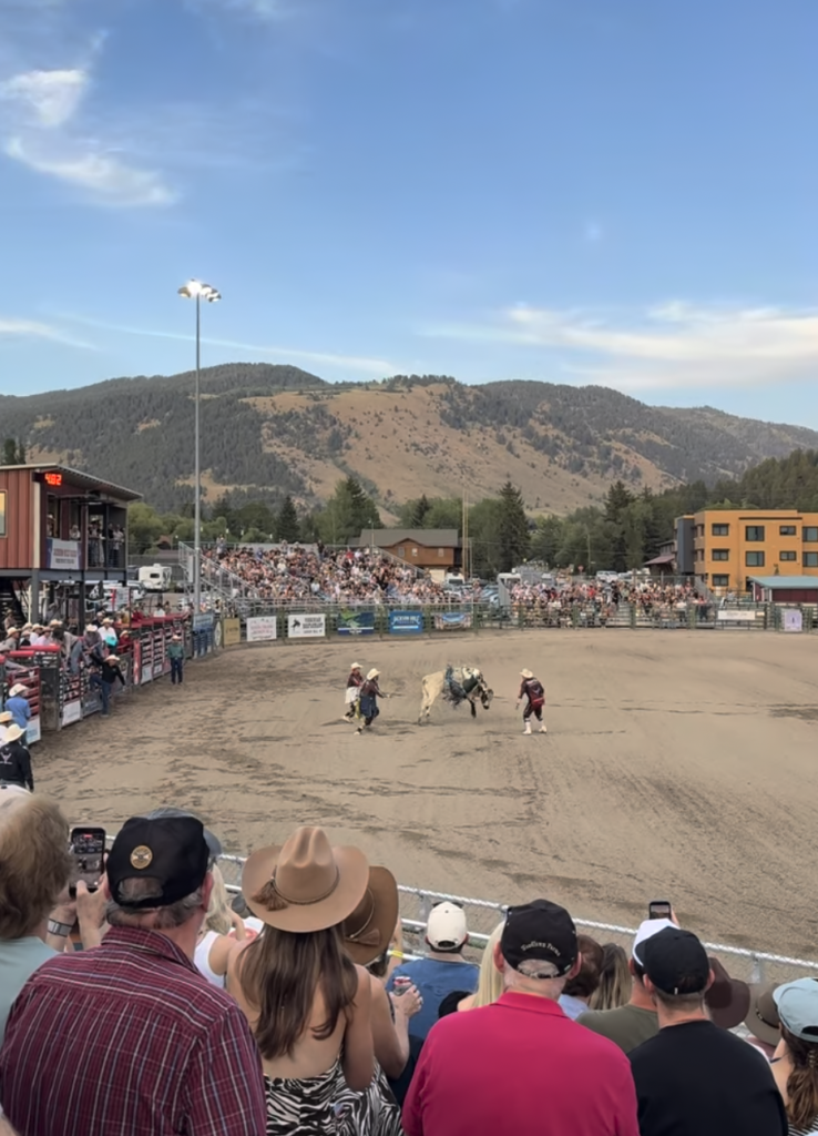 Bull riding at the Jackson Hole Rodeo in Jackson, Wyoming