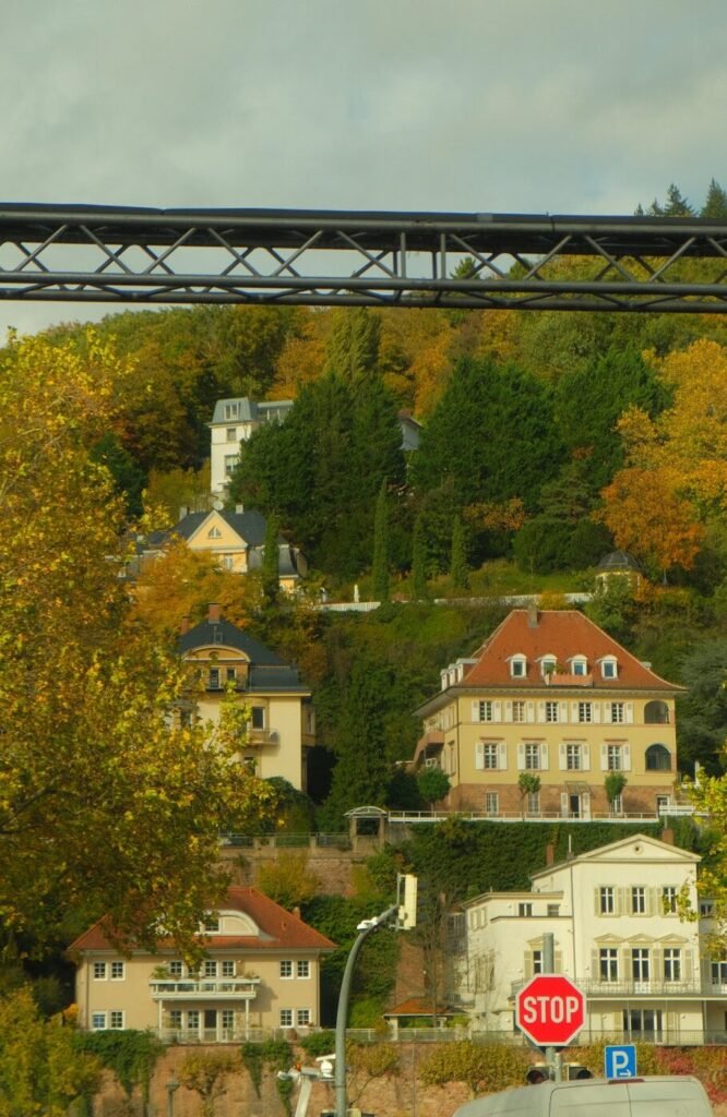 Houses on a hill in Heidelberg, Germany